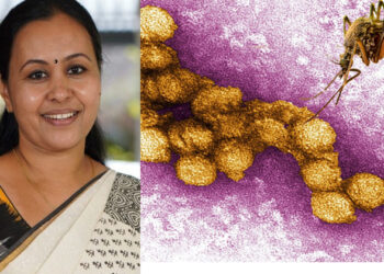 വെസ്റ്റ് നൈൽ പനി: ആശങ്ക വേണ്ട, ജാ​ഗ്രത മതി, നിർദ്ദേശങ്ങളുമായി ആരോഗ്യ വകുപ്പ്