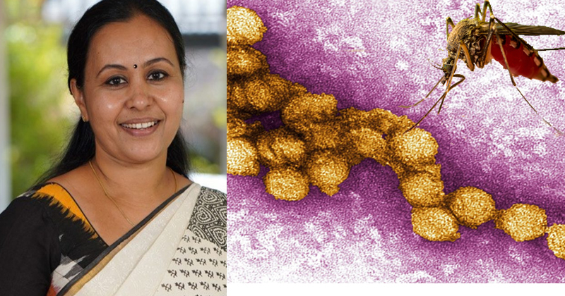 വെസ്റ്റ് നൈൽ പനി: ആശങ്ക വേണ്ട, ജാ​ഗ്രത മതി, നിർദ്ദേശങ്ങളുമായി ആരോഗ്യ വകുപ്പ്