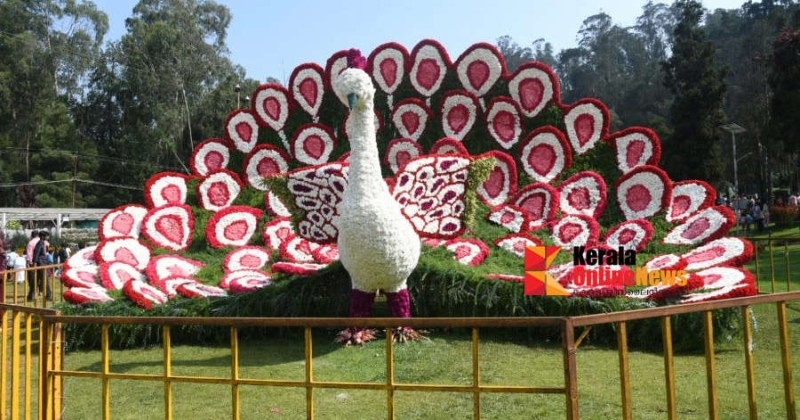 പൂക്കളാൽ വസന്തം വിരിയിച്ച് ഊട്ടി; പുഷ്പമേളയ്ക്ക് തുടക്കം