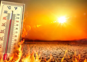 കനത്ത ചൂട്; ഉത്തരേന്ത്യയിൽ 50 പേർ മരിച്ചു; ജാഗ്രതാ നിർദേശം