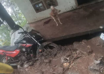 കോട്ടയം ജില്ലയിൽ അതിശക്തമായ മഴ; ഉരുൾപൊട്ടലിൽ ഏഴ് വീടുകൾക്ക് കേടുപാടുകൾ