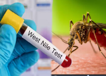 വെസ്റ്റ് നൈല് പനിയെ കുറിച്ച് അറിഞ്ഞിരിക്കാം; ജാഗ്രത പാലിക്കാം