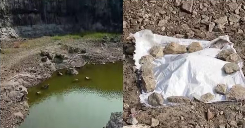 പാലക്കാട് രാമശ്ശേരിയില്‍ തലയോട്ടി കണ്ടെത്തി