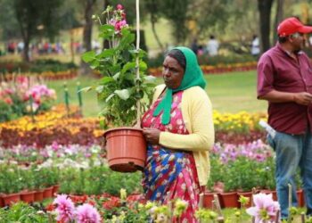 ഊട്ടിയിലേക്കും കൊടൈക്കനാലിലേക്കുമുള്ള ഇ-പാസിന് ക്രമീകരണമായി