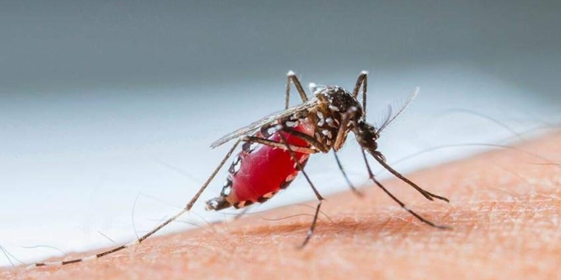 വെസ്റ്റ് നൈല്‍ ഫിവര്‍: തൃശൂരില്‍ ഒരു മരണം