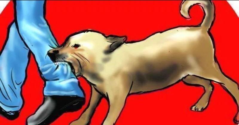 എട്ടുപേരെ കടിച്ച നായ ചത്തു; പേവിഷബാധയെന്ന് സംശയം