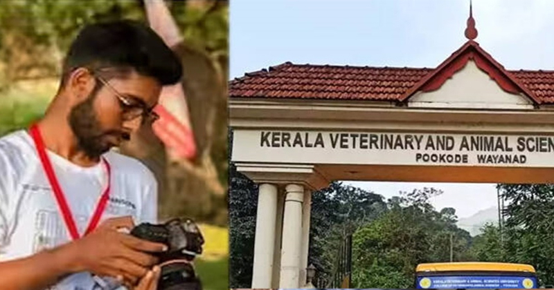 സിദ്ധാർഥന്റെ മരണം; അറസ്റ്റിലായ 19 വിദ്യാർഥികൾക്കും ഉപാധികളോടെ ജാമ്യം