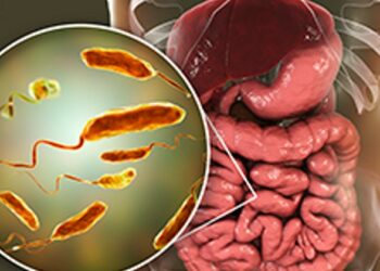 കൂടുതൽ പേർക്ക് കോളറ ലക്ഷണങ്ങൾ; ഉറവിടം കണ്ടെത്താന്‍ കഴിയാതെ ആരോഗ്യ വകുപ്പ്