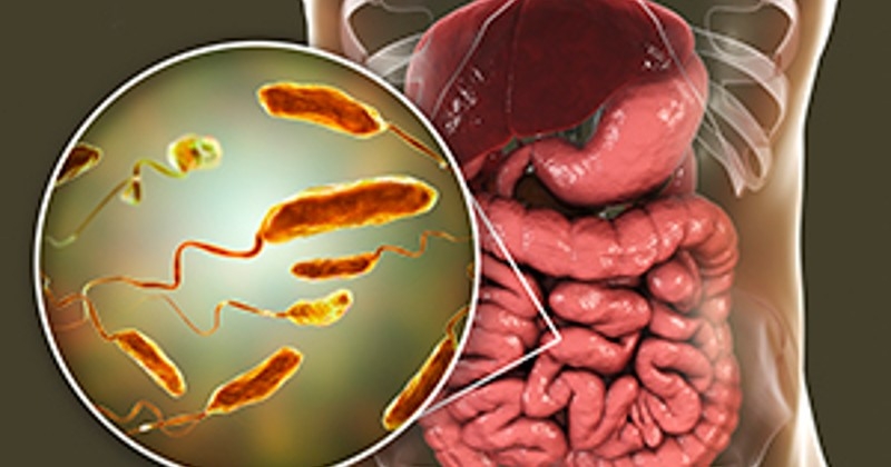 കൂടുതൽ പേർക്ക് കോളറ ലക്ഷണങ്ങൾ; ഉറവിടം കണ്ടെത്താന്‍ കഴിയാതെ ആരോഗ്യ വകുപ്പ്