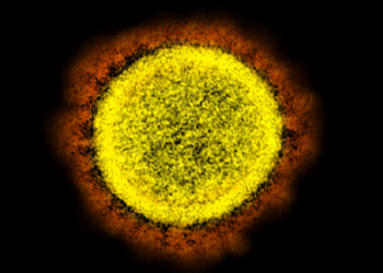 വീണ്ടും കോളറ; തിരുവനന്തപുരത്ത് 13കാരന് രോഗം സ്ഥിരീകരിച്ചു