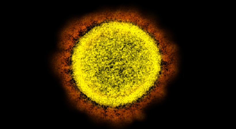 വീണ്ടും കോളറ; തിരുവനന്തപുരത്ത് 13കാരന് രോഗം സ്ഥിരീകരിച്ചു