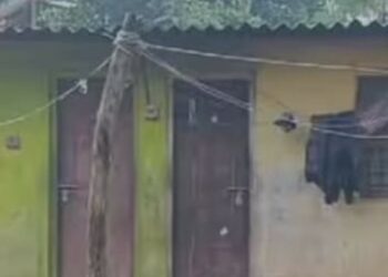 സഹവാസിയുമായി വാക്കുതർക്കം; പെരുമ്പാവൂരില്‍ അതിഥി തൊഴിലാളിയെ കുത്തിക്കൊന്നു; പ്രതിക്കായി തിരച്ചില്‍