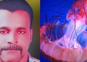 മീൻ പിടിക്കുന്നതിനിടെ ജെല്ലിഫിഷ് കണ്ണിൽ തെറിച്ചു; ചികിത്സയിലായിരുന്ന മത്സ്യത്തൊഴിലാളി മരിച്ചു
