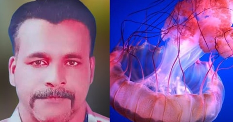 മീൻ പിടിക്കുന്നതിനിടെ ജെല്ലിഫിഷ് കണ്ണിൽ തെറിച്ചു; ചികിത്സയിലായിരുന്ന മത്സ്യത്തൊഴിലാളി മരിച്ചു