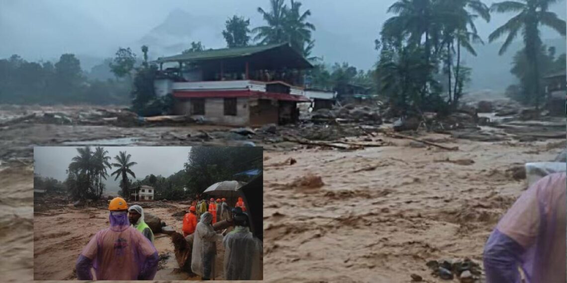 വയനാട്ടിൽ ഉരുൾപൊട്ടലും മണ്ണിടിച്ചിലും; 11 പേർ മരിച്ചു