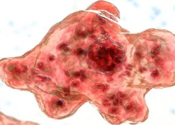 അമീബിക് മസ്തിഷ്ക ജ്വരം: തിരുവനന്തപുരത്ത് 2 പുതിയ കേസുകൾ