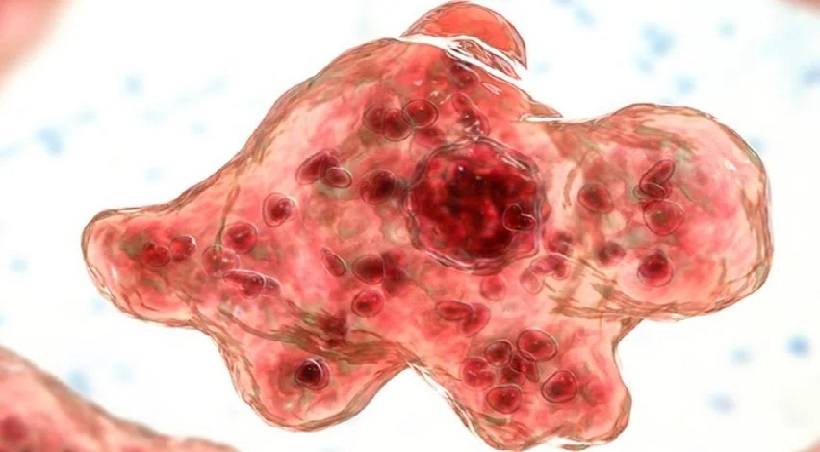 അമീബിക് മസ്തിഷ്ക ജ്വരം: തിരുവനന്തപുരത്ത് 2 പുതിയ കേസുകൾ