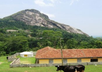 ‘കൂൺ ഇടി’യല്ല; വയനാട്ടിലെ ഭൂമിക്കടിയിലുണ്ടായ ഉഗ്രസ്ഫോടനത്തിന്റെ ഭീതിയിൽ നാട്ടുക്കാർ