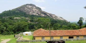 ‘കൂൺ ഇടി’യല്ല; വയനാട്ടിലെ ഭൂമിക്കടിയിലുണ്ടായ ഉ​ഗ്രസ്ഫോടനത്തിന്റെ ഭീതിയിൽ നാട്ടുക്കാർ