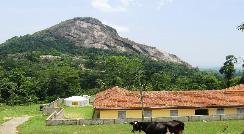 ‘കൂൺ ഇടി’യല്ല; വയനാട്ടിലെ ഭൂമിക്കടിയിലുണ്ടായ ഉഗ്രസ്ഫോടനത്തിന്റെ ഭീതിയിൽ നാട്ടുക്കാർ