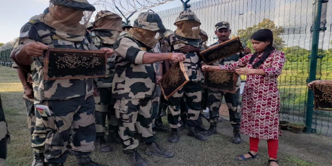 നുഴഞ്ഞുകയറ്റം തടയാൻ തേനീച്ചക്കൂട്; ഇന്ത്യ-ബംഗ്ലാദേശ് അതിർത്തിയിൽ ബി.എസ്.എഫ് പദ്ധതി വിജയകരം