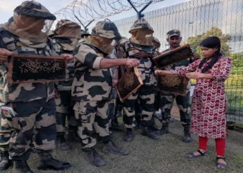നുഴഞ്ഞുകയറ്റം തടയാൻ തേനീച്ചക്കൂട്; ഇന്ത്യ-ബംഗ്ലാദേശ് അതിർത്തിയിൽ ബി.എസ്.എഫ് പദ്ധതി വിജയകരം