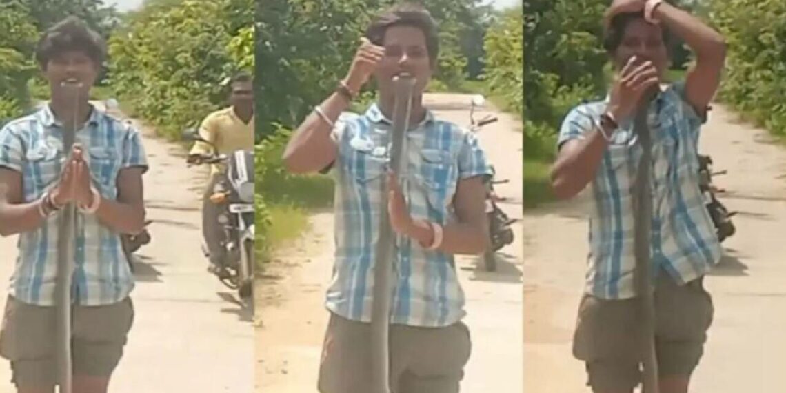 മൂർഖൻ പാമ്പിന്റെ തല കടിച്ചുപിടിച്ച് വീഡിയോ ചിത്രീകരണം; യുവാവിന് ദാരുണാന്ത്യം