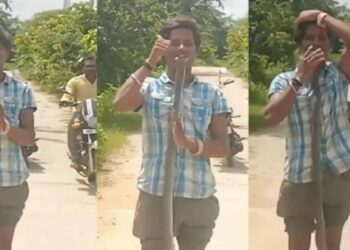 മൂർഖൻ പാമ്പിന്റെ തല കടിച്ചുപിടിച്ച് വീഡിയോ ചിത്രീകരണം; യുവാവിന് ദാരുണാന്ത്യം