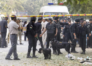 വിമാനങ്ങൾക്ക് പിന്നാലെ വിദ്യാലയങ്ങളും; രാജ്യത്ത് സിആർപിഎഫ് സ്കൂളുകൾക്ക് ബോംബ് ഭീഷണി