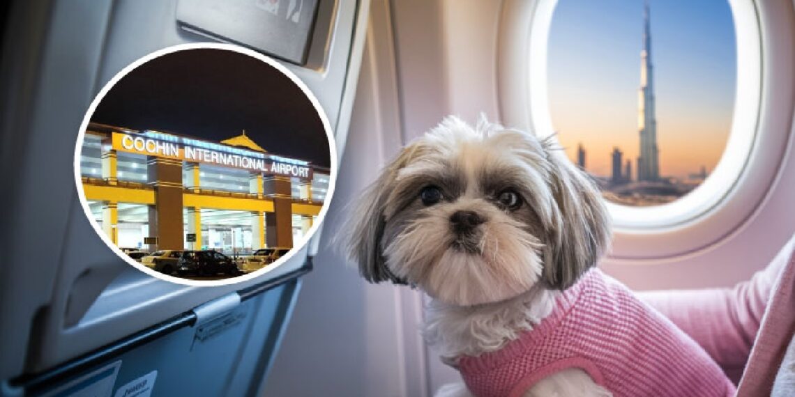 വളർത്തുമൃ​ഗങ്ങൾക്കും കൊച്ചിയിൽ പറന്നിറങ്ങാം; പുതിയ സർവീസ് സെൻ്റർ