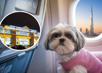 വളർത്തുമൃഗങ്ങൾക്കും കൊച്ചിയിൽ പറന്നിറങ്ങാം; പുതിയ സർവീസ് സെൻ്റർ