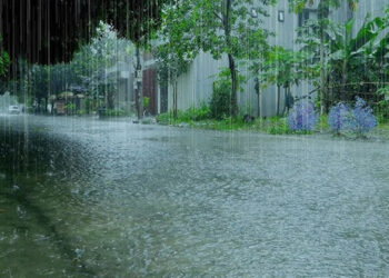 ജാഗ്രത നിർദേശം; മഴ കനക്കുമെന്ന് മുന്നറിയിപ്പ്