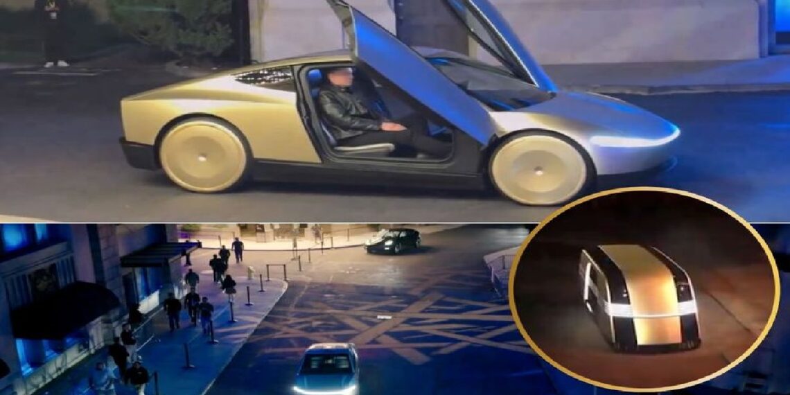 ഡ്രൈവർ ഇല്ല!; സ്വയം ഓടുന്ന റോബോ ടാക്സിയുമായി ടെസ്ല