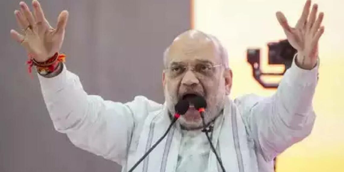 ‘ഇന്ദിരാ ഗാന്ധി സ്വർഗത്തിൽ നിന്ന് തിരികെയെത്തി പറഞ്ഞാലും ആർട്ടിക്കിൾ 370 നടപ്പാക്കില്ല’; അമിത് ഷാ