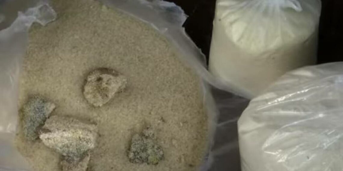 പുഴുവരിച്ച ഭക്ഷണ കിറ്റ് വിതരണം; സർക്കാരിനെതിരെ രൂക്ഷവിമർശനവുമായി ബിജെപി പ്രവർത്തകർ