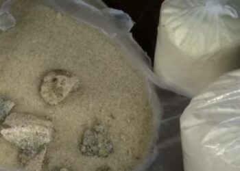 പുഴുവരിച്ച ഭക്ഷണ കിറ്റ് വിതരണം; സർക്കാരിനെതിരെ രൂക്ഷവിമർശനവുമായി ബിജെപി പ്രവർത്തകർ