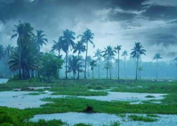 അതിശക്തമായ മഴയോടെ കേരളപ്പിറവി; ഓറഞ്ച് അലേർട്ട്