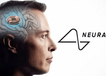 തളർവാതരോഗികളിൽ ബ്രെയ്ൻ ചിപ്പ്; മസ്‌കി​ൻറെ പരീക്ഷണത്തിന് അനുമതി