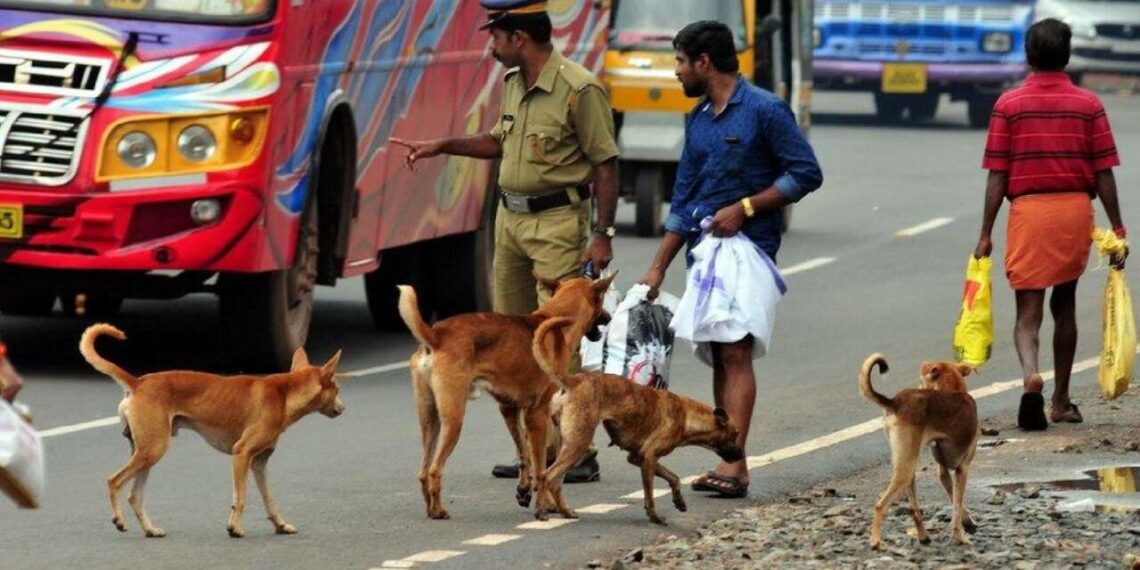 തെരുവുനായ പ്രശ്‌നം ഉടൻ പരിഹരിച്ചില്ലെങ്കിൽ ബൗ-ബൗ സമരം; മുന്നറിയിപ്പുമായി ജനകീയ സമിതി