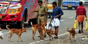തെരുവുനായ പ്രശ്‌നം ഉടൻ പരിഹരിച്ചില്ലെങ്കിൽ ബൗ-ബൗ സമരം; മുന്നറിയിപ്പുമായി ജനകീയ സമിതി