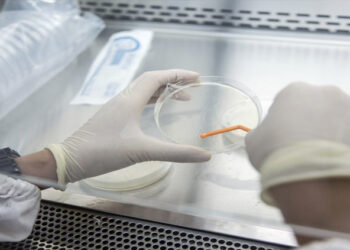 കോവിഡ് മഹാമാരിയേക്കാൾ 20 മടങ്ങ് മാരകം, 406 പേർ ചികിത്സ തേടി,143 മരണം; ഡീസീസ് എക്‌സിനെ കുറിച്ച് കൂടുതൽ