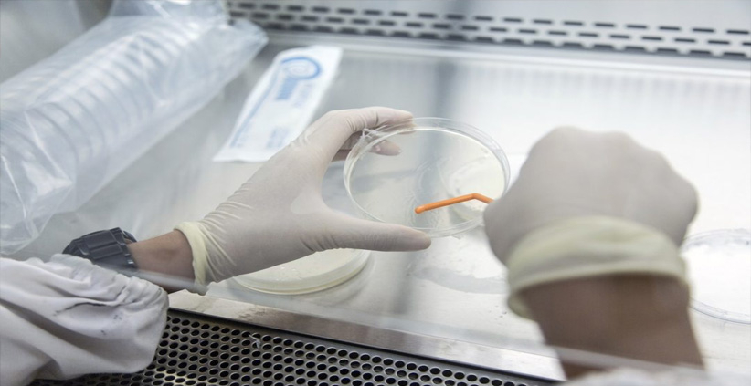 കോവിഡ് മഹാമാരിയേക്കാൾ 20 മടങ്ങ് മാരകം, 406 പേർ ചികിത്സ തേടി,143 മരണം; ഡീസീസ് എക്സിനെ കുറിച്ച് കൂടുതൽ