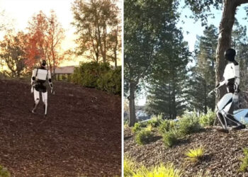 ചെങ്കുത്തായ പാതയിലൂടെ കയറിയും ഇറങ്ങിയും മസ്‌കിൻ്റെ ‘ആൻഡ്രോയിഡ് കുഞ്ഞപ്പൻ’ – വീഡിയോ