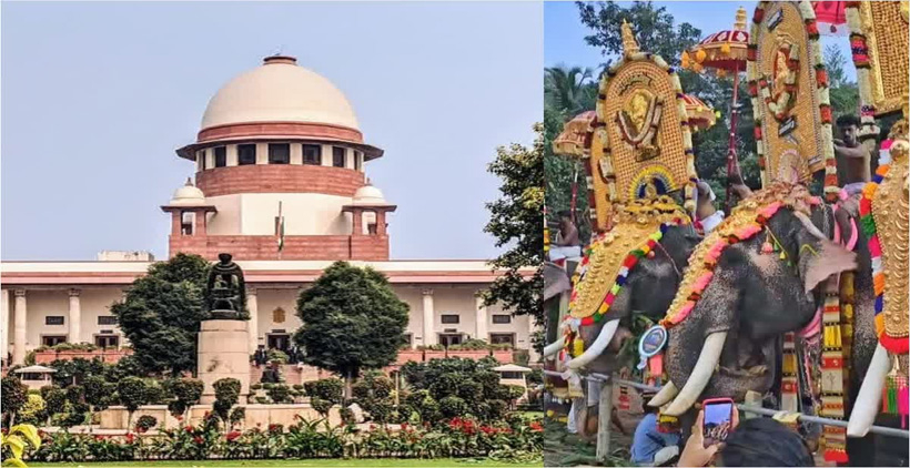 ആന എഴുന്നള്ളിപ്പിലെ ഹൈക്കോടതി നിയന്ത്രണങ്ങള്‍ സുപ്രീം കോടതി സ്‌റ്റേ ചെയ്‌തു